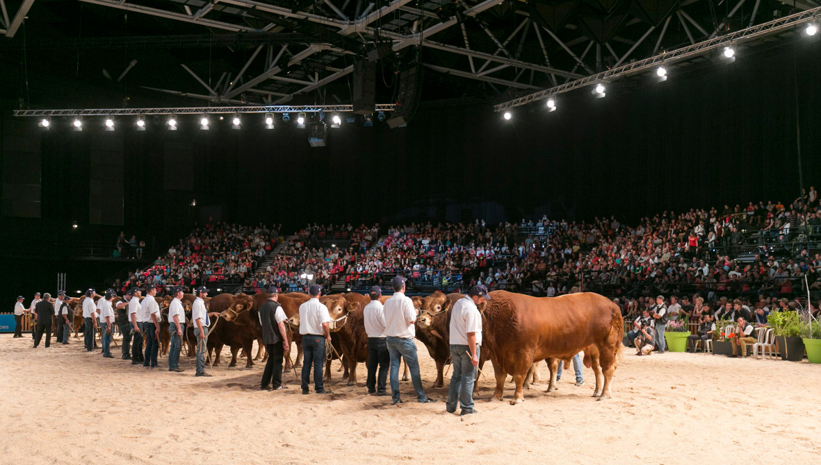 © Philippe Pécher pour France Limousin Sélection