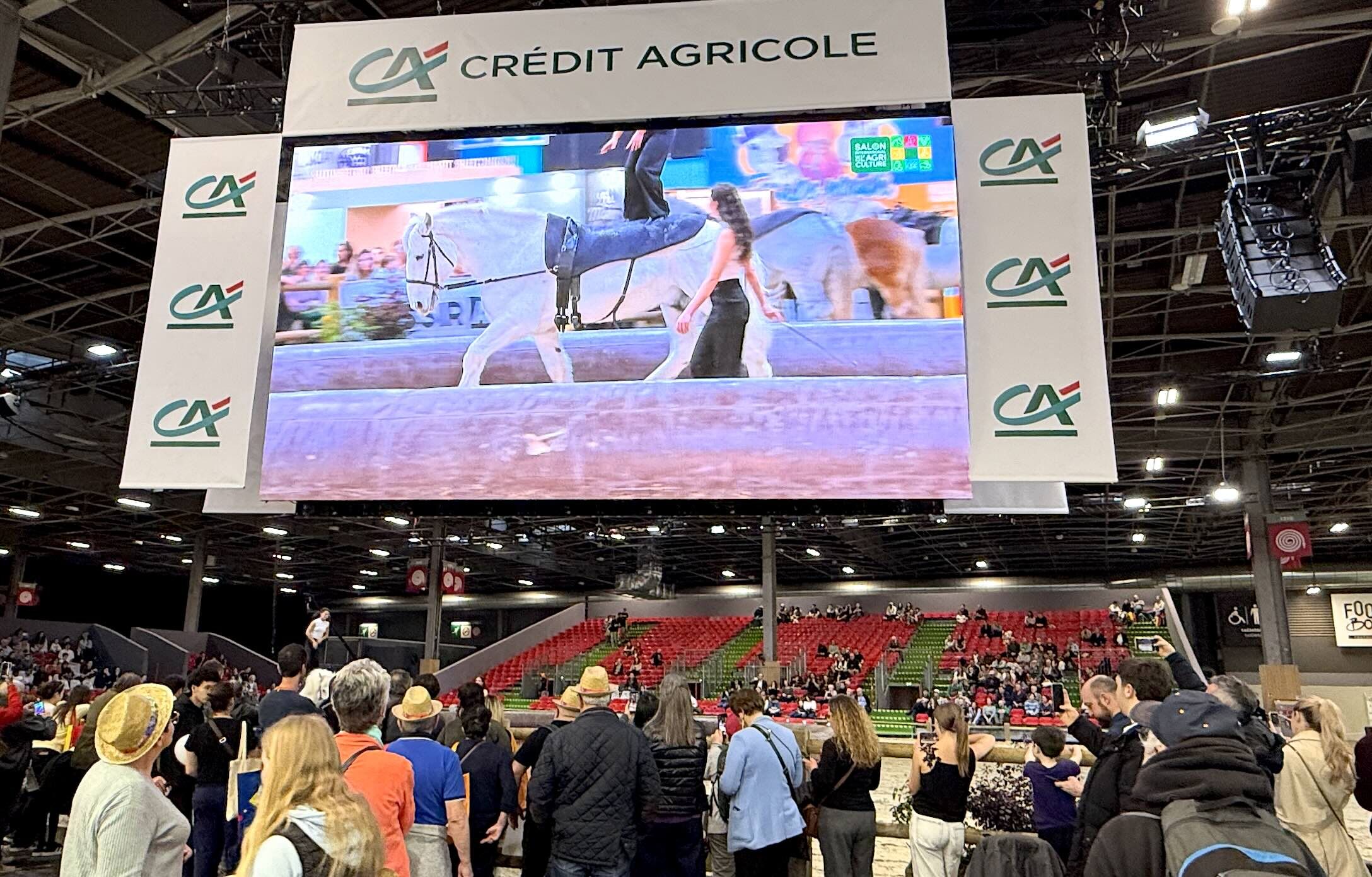 Des spectacles de voltige ont balisé le programme du grand ring dans le hall 1