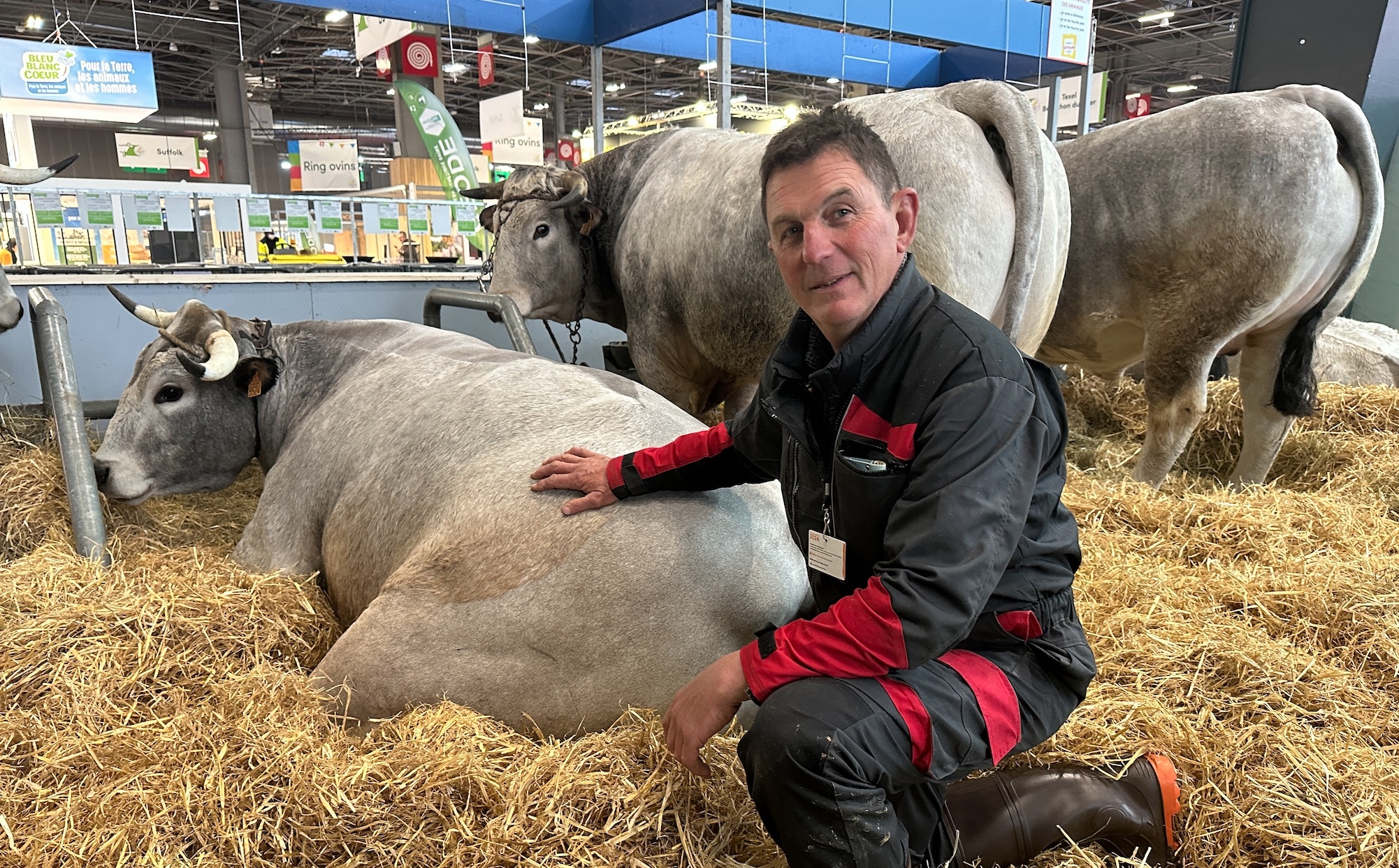 Thierry Pujolle et Pick, son bœuf de 5 ans qui concourt dans la catégorie « bœuf gascon Label Rouge » (Crédit photo : R. Lecocq)