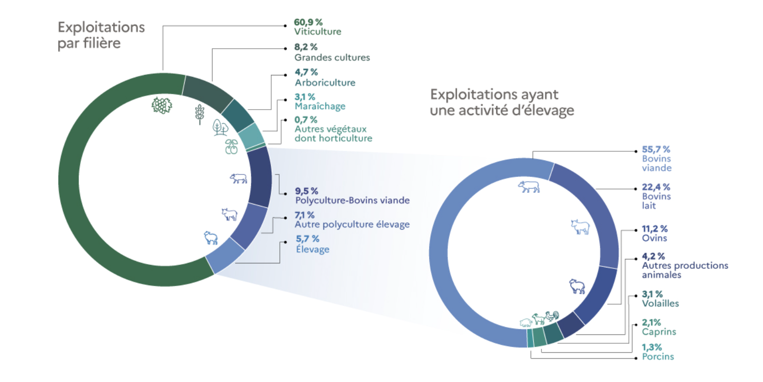 Part des exploitations certifiées HVE par filière (Source : ministère de l’Agriculture)