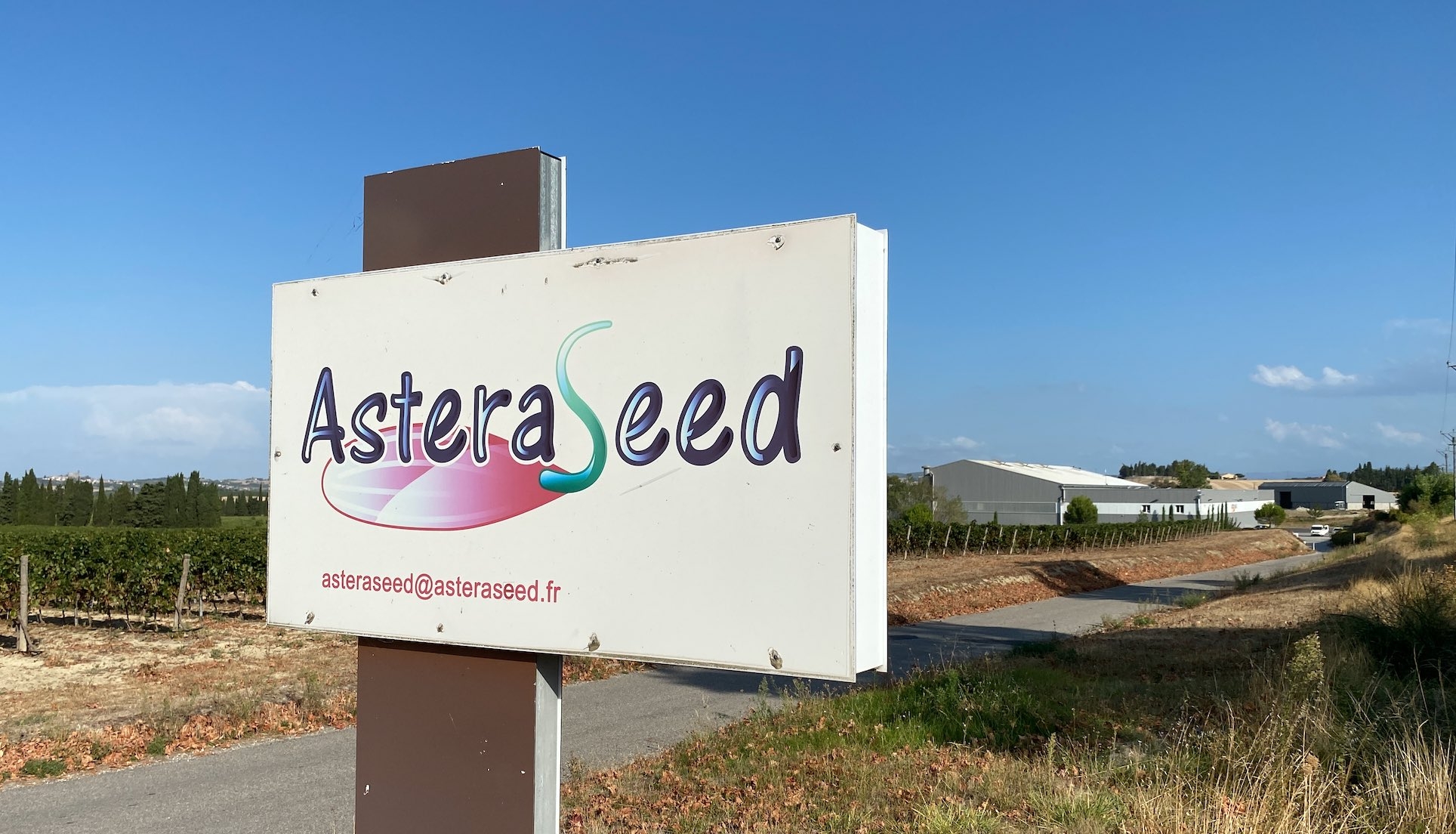 Le futur installé espère décrocher des contrats en porte-graines avec le multiplicateur AsteraSeed, basé dans l’Aude