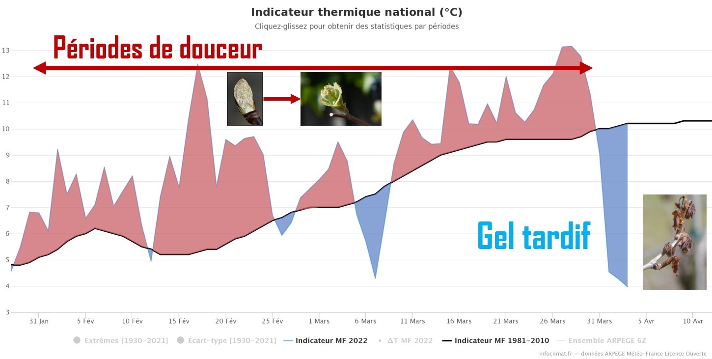 Les écarts aux normes montrent une importante douceur du 1er février au 31 mars, suivi d'une chute exceptionnelle des températures (Source : Infoclimat)