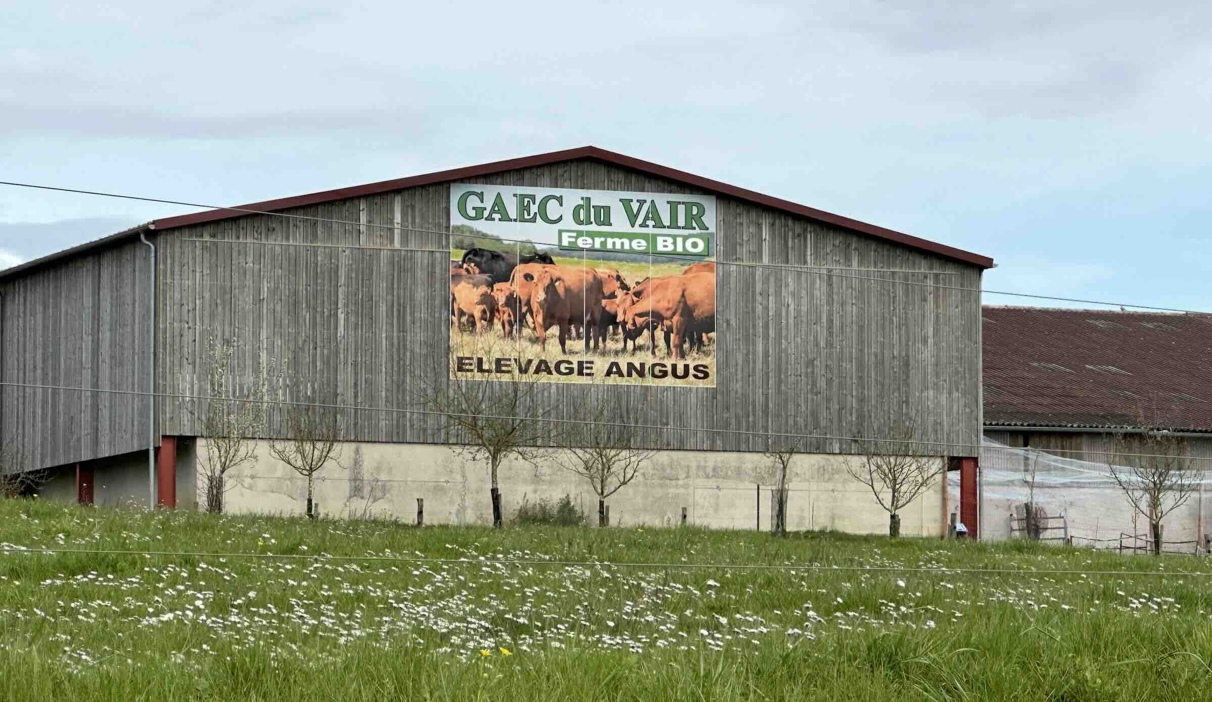 Selon la Conf’, la MAB permettrait de garder toutes les fermes déjà engagées en agriculture biologique et d’éviter les déconversions (Crédit photo : R. Lecocq)