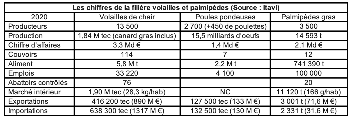 Les chiffres de la filière volailles et palmipèdes (Source :  Itavi)