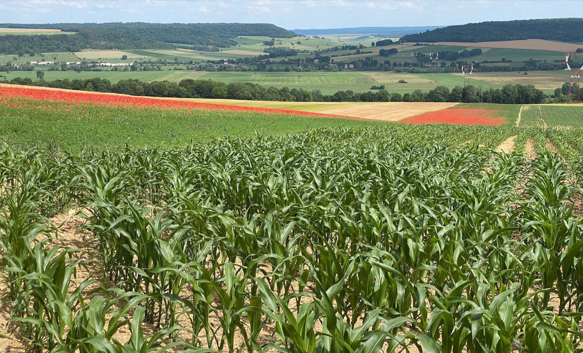 Terre de liens estime qu’un budget annuel de 1,4 milliard d’euros couvrirait 75% des besoins de nouvellement et constituerait « une avancée sociale à portée de budget » (Crédit photo : R. Lecocq)