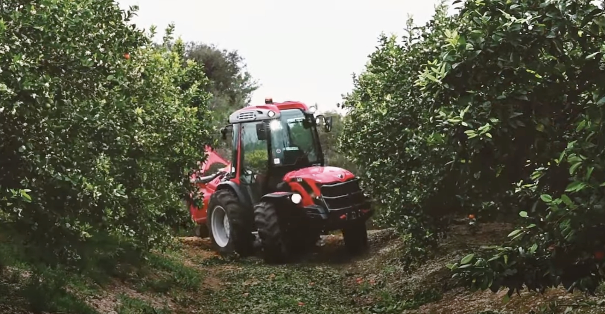 Le Tony 8900 TRG se caractérise par la réversibilité à 180° du poste de conduite (siège, volant et joystick Multi Controller) (Crédit photo : Antonio Carraro)