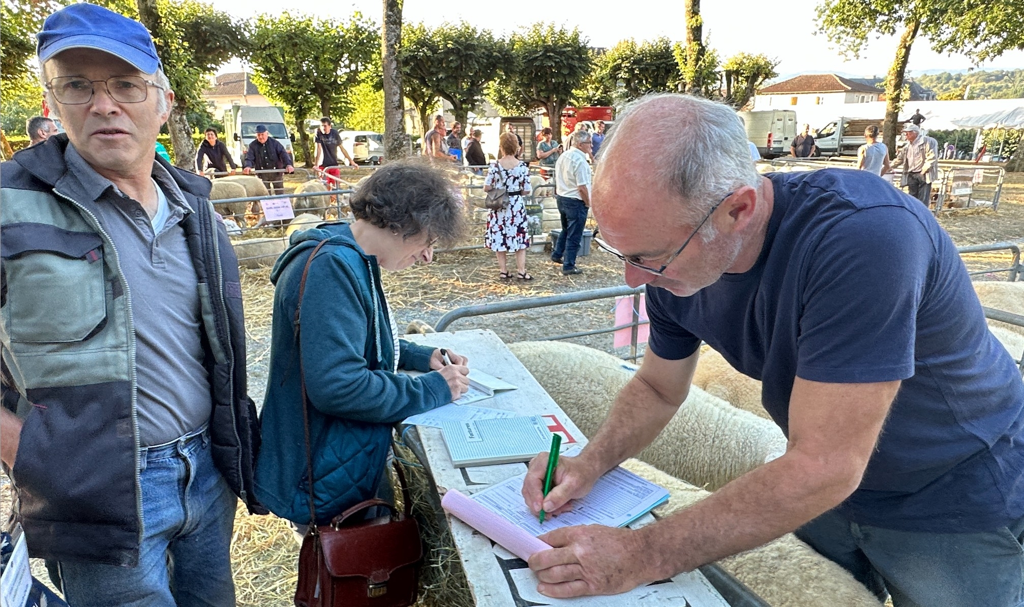 500 euros le bélier, affaire conclue !