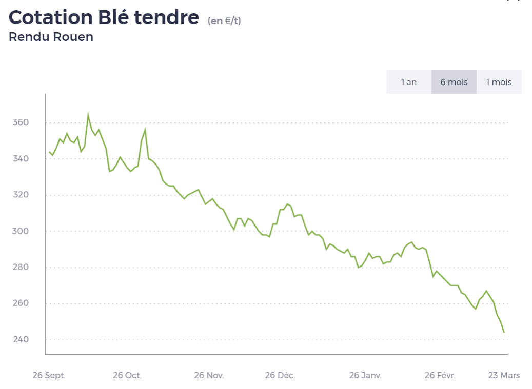 Evolution de la cotation blé tendre rendu Rouen depuis 6 mois.