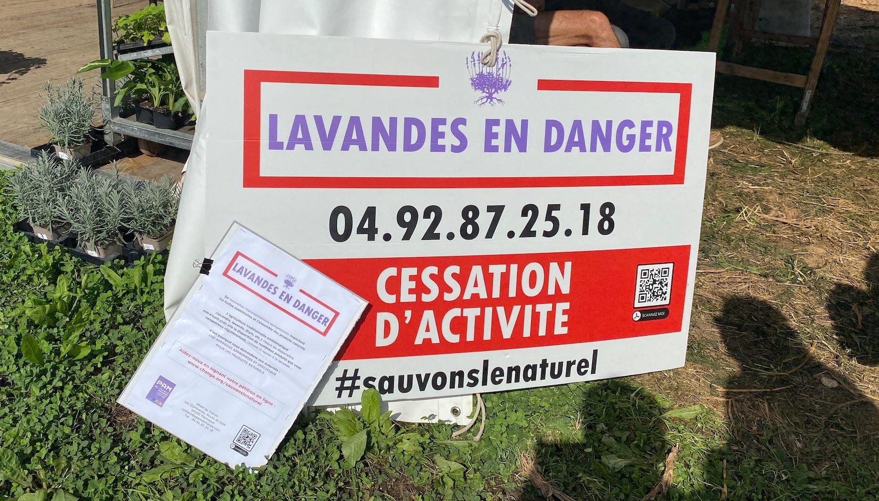 Selon le syndicat de producteur PPAM de France, un quart des 3.115 exploitations productrices réalise plus de 50% de leur chiffre d’affaires avec la lavande et le lavandin