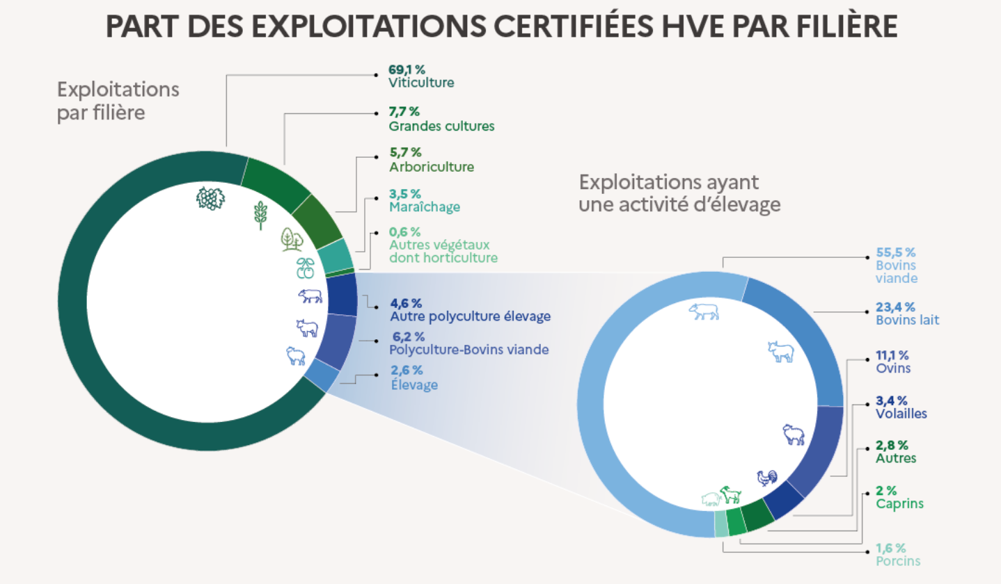 Nombre d’exploitations certifiées par filière en date du 1er juillet 2022 (Source : ministère de l’Agriculture)