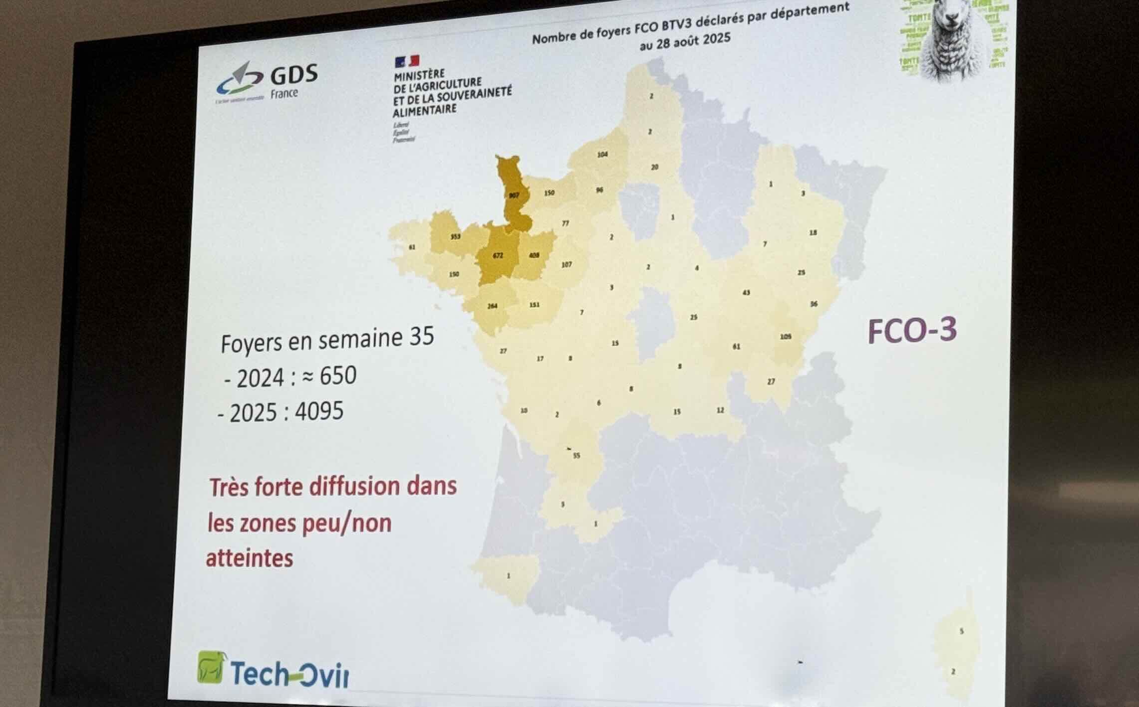 Situation de la FCO-3 en semaine 35 (25-31 août) (Source : DGAL – GDS France)