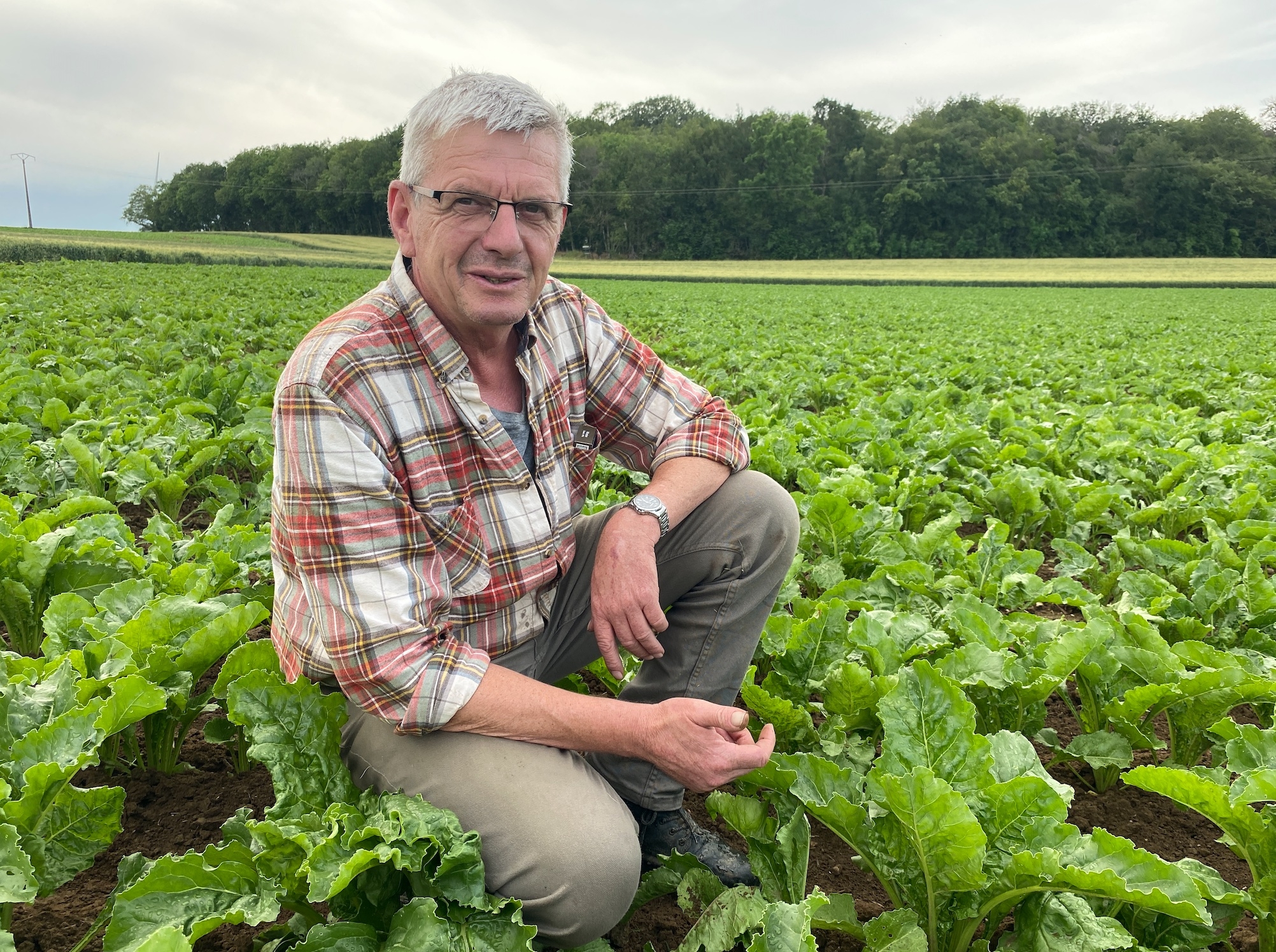 Christophe Andrieux cultive entre 5 et 6 ha de betteraves fourragères et en récolte plus de 120 ha pour le compte de ses clients