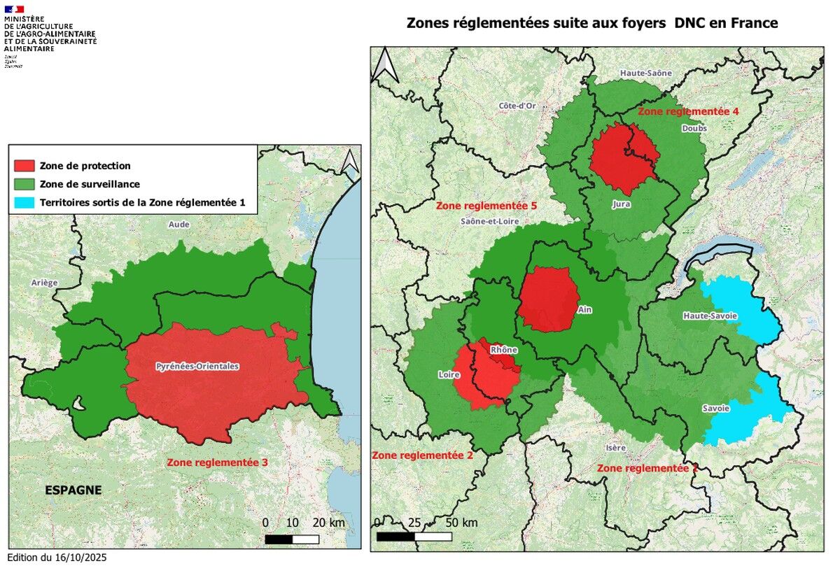 Les zones réglementées DNC en date du 16 octobre (Source : ministère de l’Agriculture)