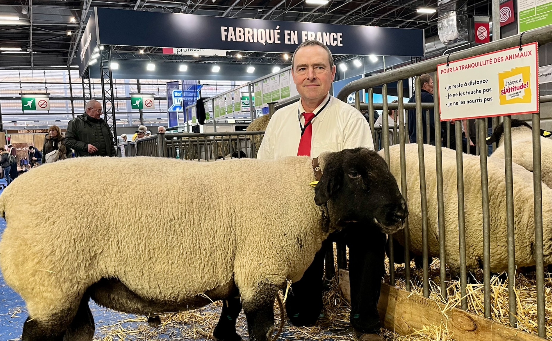 Benoît Poillot, éleveur de mouton de race Suffolk (Crédit photo : Louise Delaroa)