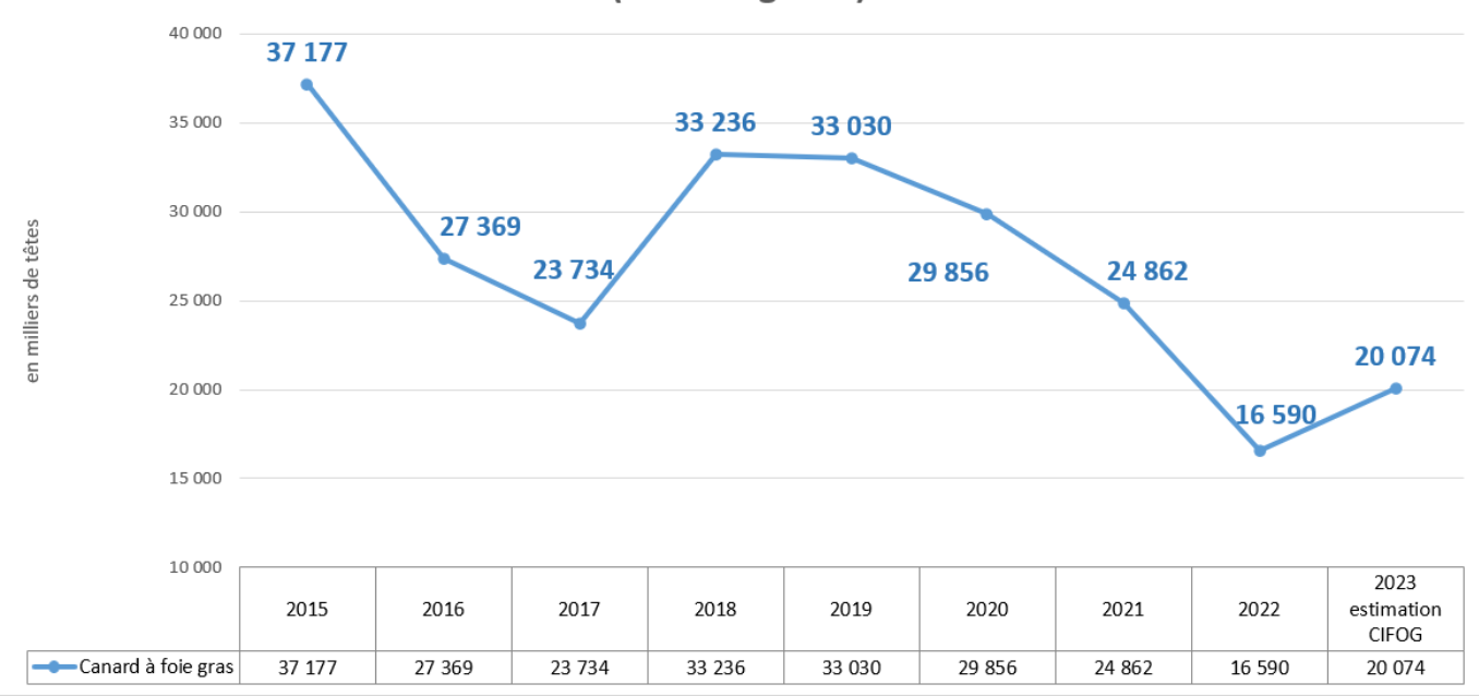 Evolution annuelle des abattages de canards à foie gras en France (Source Agreste)