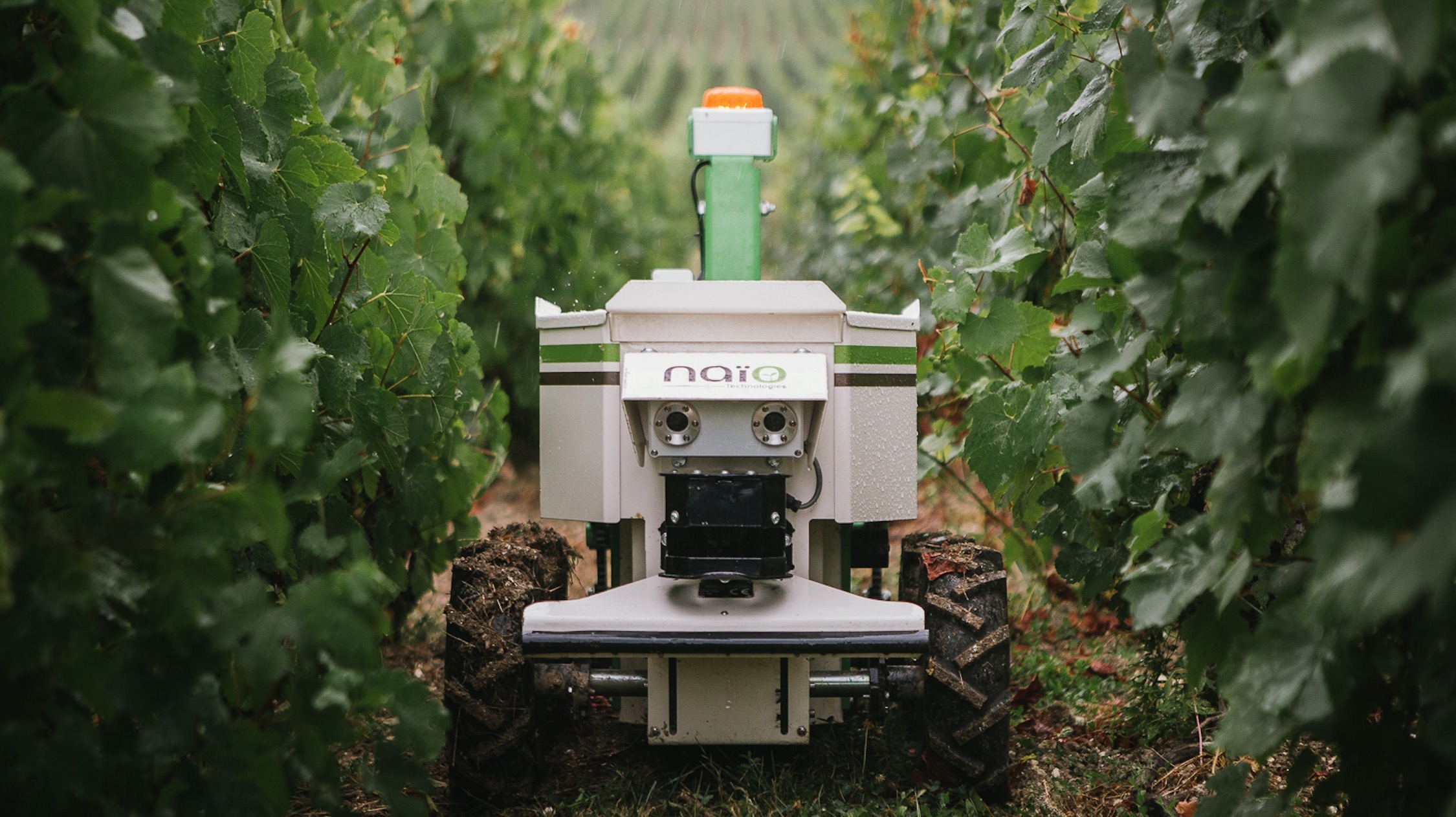 Le chenillard Jo s’attèle aux vignes étroites en zones pentues