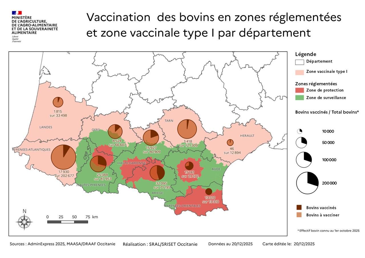 Situation épidémiologique et vaccinale en Occitanie en date du 20 décembre (Source : ministère de l’Agriculture)