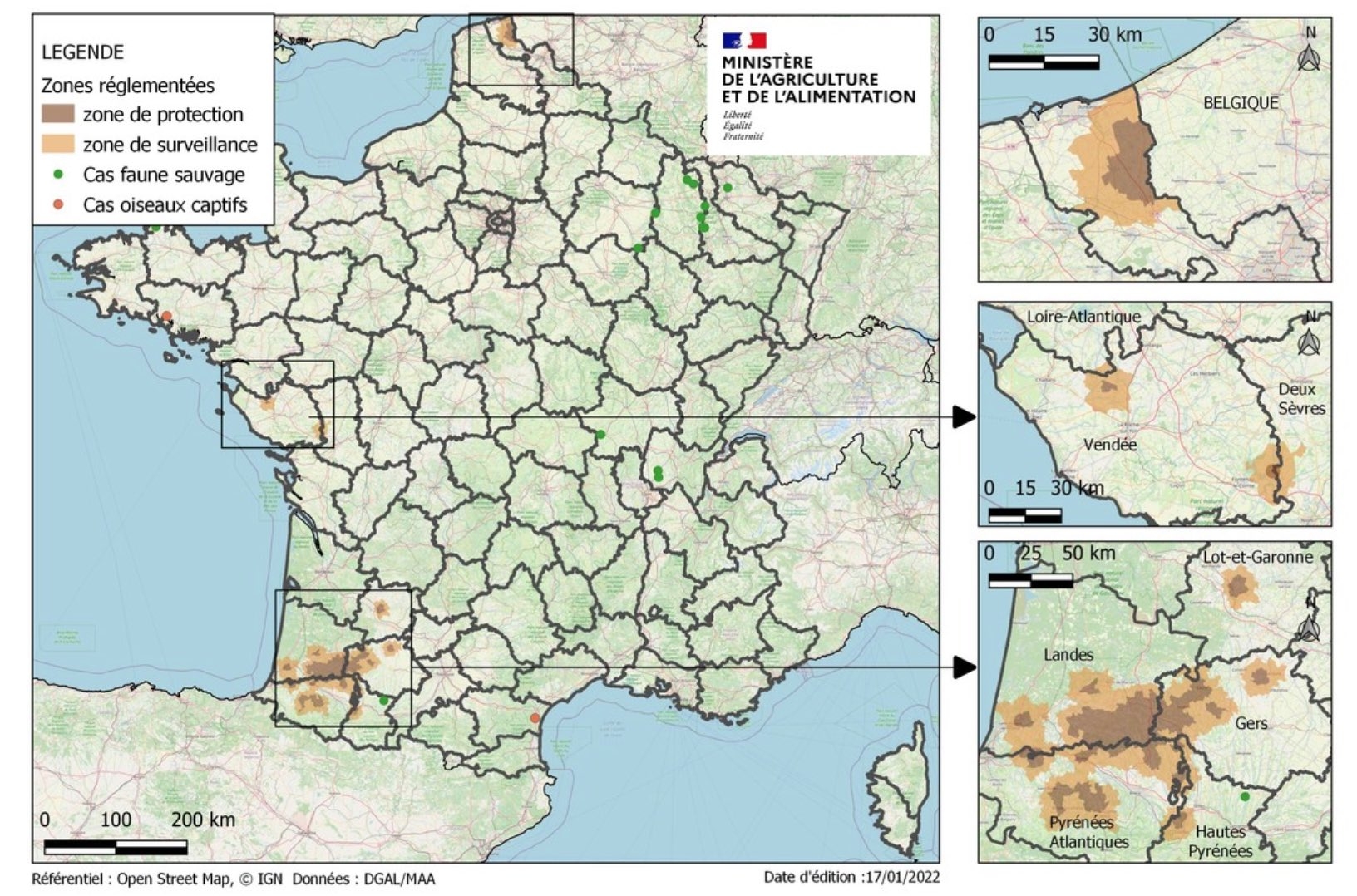 De 34 foyers identifiés en élevage le 3 janvier 2022, on est passé 92 le 10 janvier et à 216 le 17 janvier (Source : ministère de l’Agriculture)