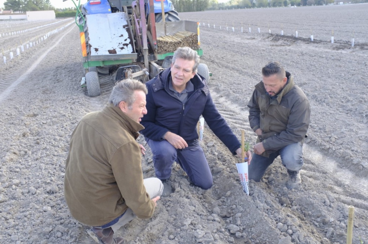 François Moulias, directeur général de la Compagnie des amandes, Arnaud Montebourg, président, et Vincent Fabre, agriculteur gérant de la SAS Amandes des Estangs (Crédit photo : la Compagnie des amandes)