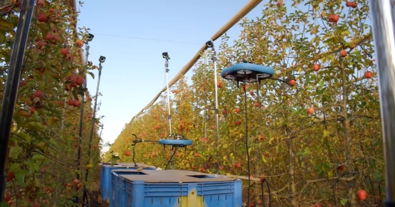 L’entreprise israélienne Tevel développe des robots volants autonomes pour la cueillette des fruits en combinant l'IA avec la vision par ordinateur, la robotique avancée, l'ingénierie aéronautique (Crédit photo : Kubota)