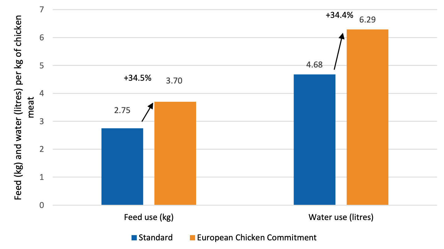 Consommation comparée d’aliment et d’eau du poulet standard et du poulet ECC par kilo de viande (Source : AVEC – ADAS)