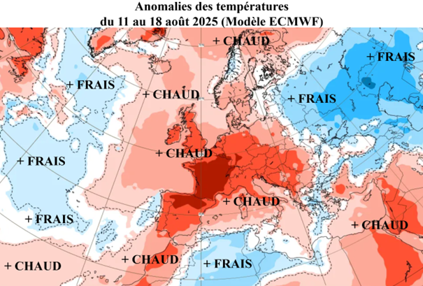 ECMWF