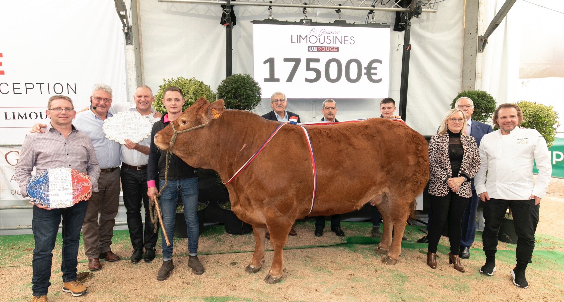 Présentations d’animaux, concours, ventes aux enchères et tables rondes baliseront les 3èmes journées limousines (Crédit photo : Beauvallet)