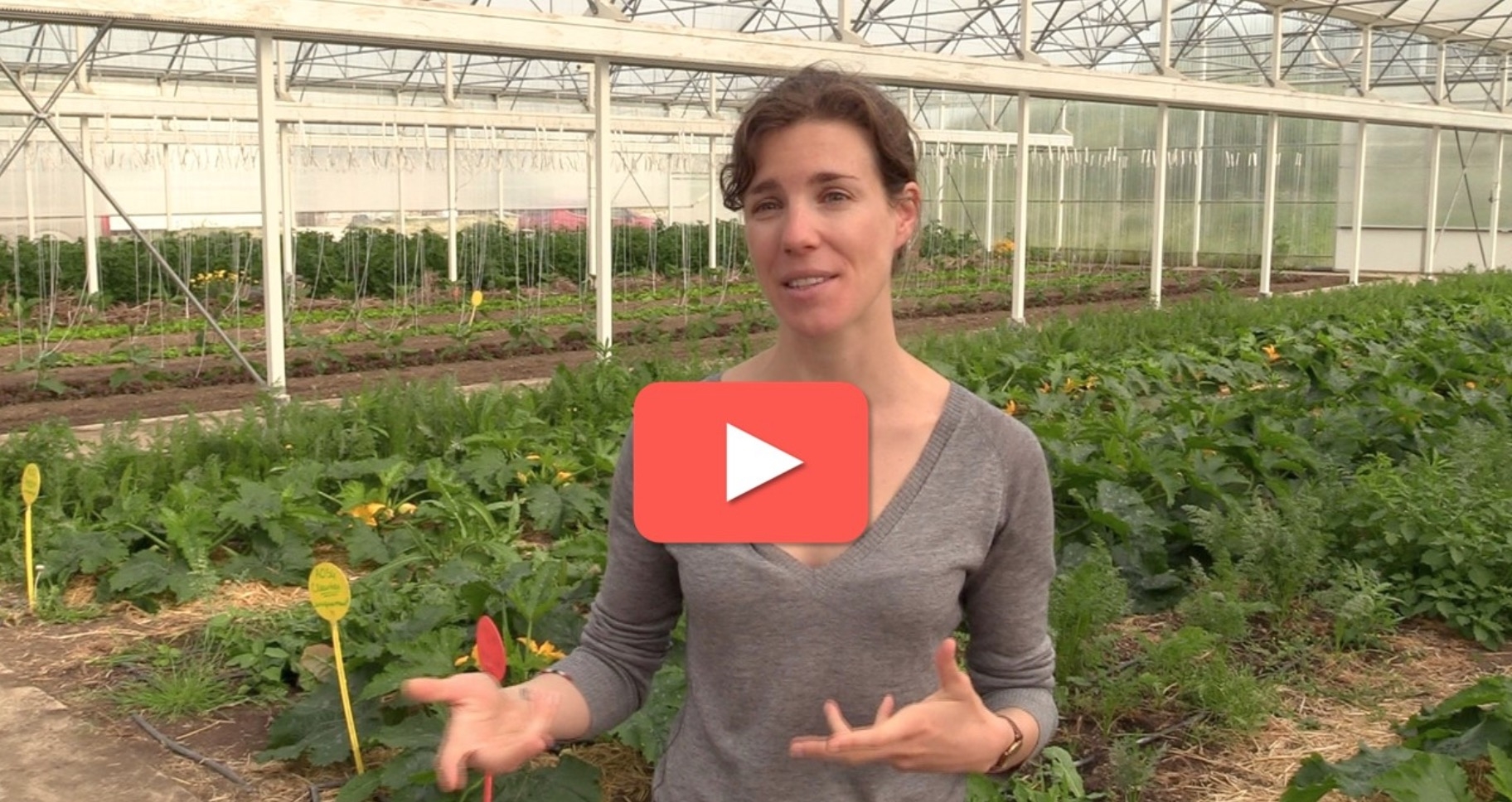 La start-up NeoFarm accompagne les projets de A à Z pour concilier agroécologie et technologie au service d’une production de légumes en circuits courts (Capture d’écran : Adèle Magnard)