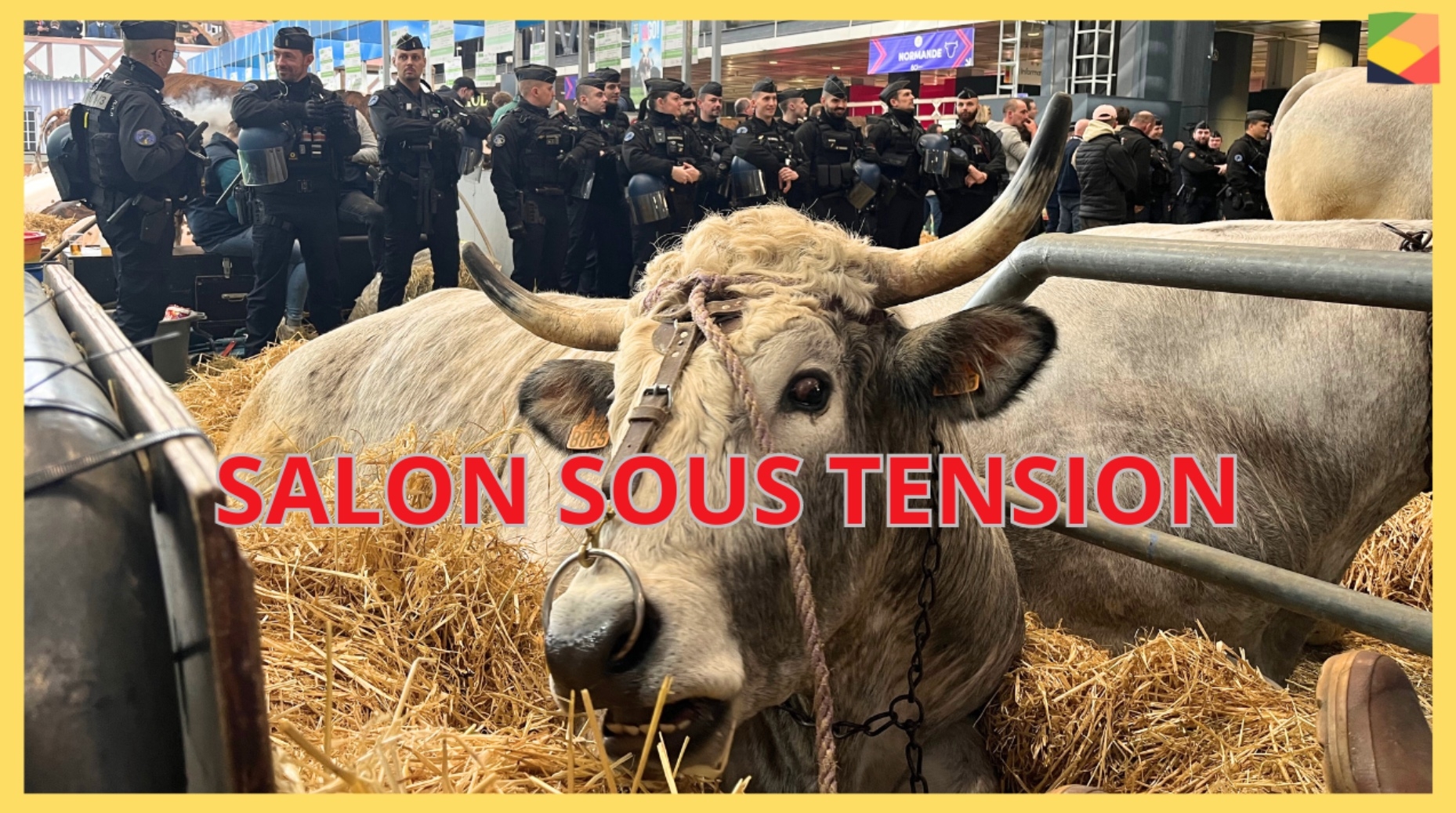 Les forces de l’ordre ont barricadé l’accès au hall 1 une bonne partie de la journée d’inauguration (Crédit Photo : L. Delaroa)