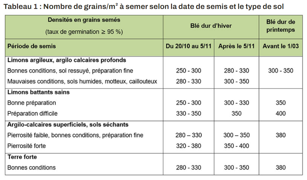 Semer Le Bl Dur Entre Le 20 Octobre Et Le 20 Novembre Pleinchamp