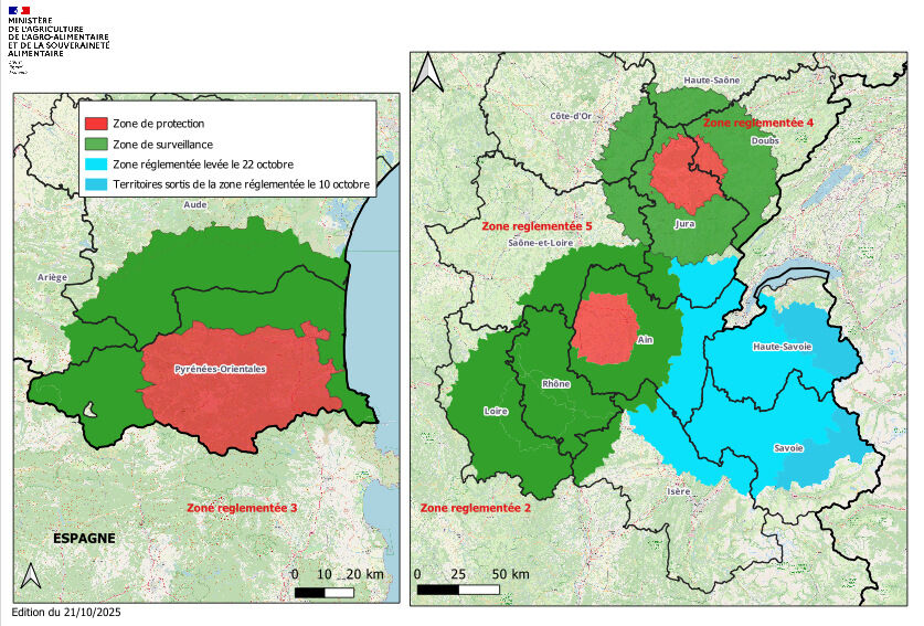 Les zones réglementées DNC en date du 21 octobre (Source : ministère de l’Agriculture)