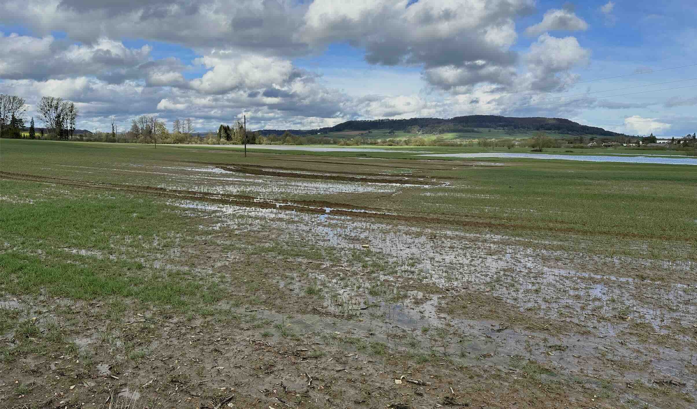 Météo-France relève le contraste entre 2022, particulièrement sèche et ensoleillée, et 2024 particulièrement humide et grise (Crédit photo : R. Lecocq)