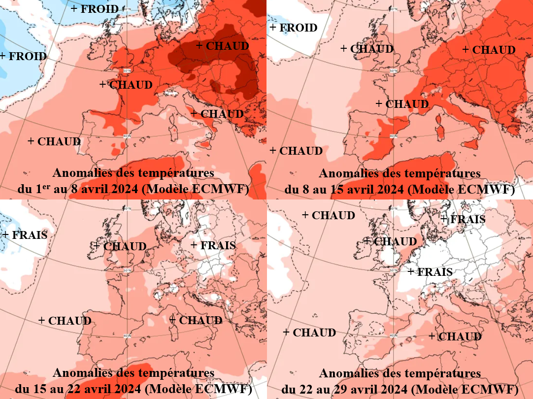 Les modélisations de température pour le mois d’avril (Source : ECMWF)