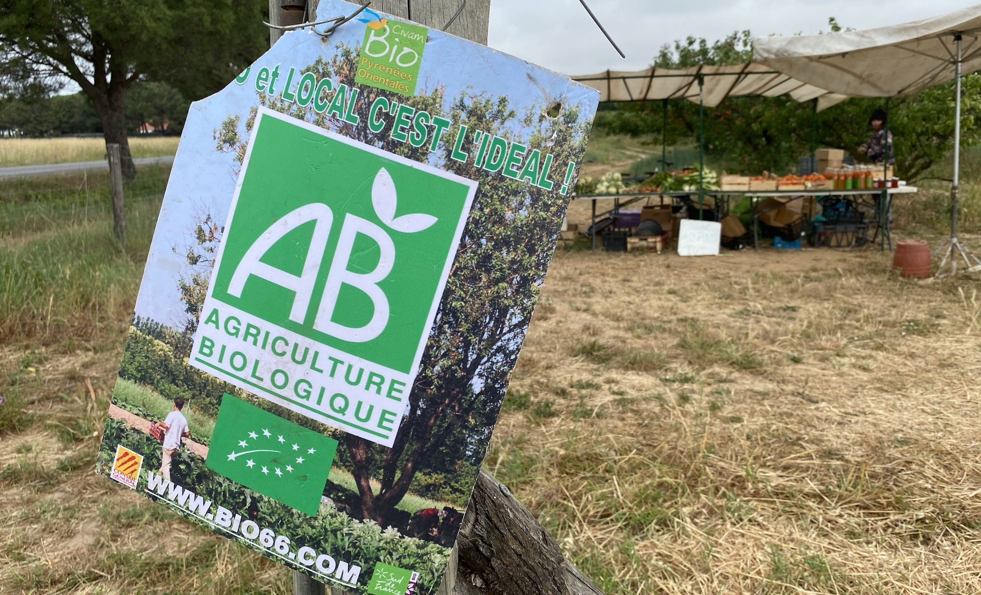 En 2023, la SAU bio a baissé de 2% mais le nombre de fermes bio a augmenté de 2% (Crédit photo : R. Lecocq)