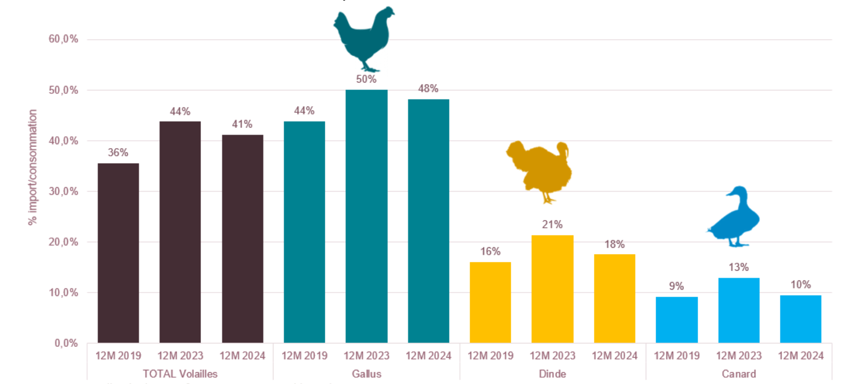 Evolution de la part des importations dans la consommation de volailles (Source : Anvol)