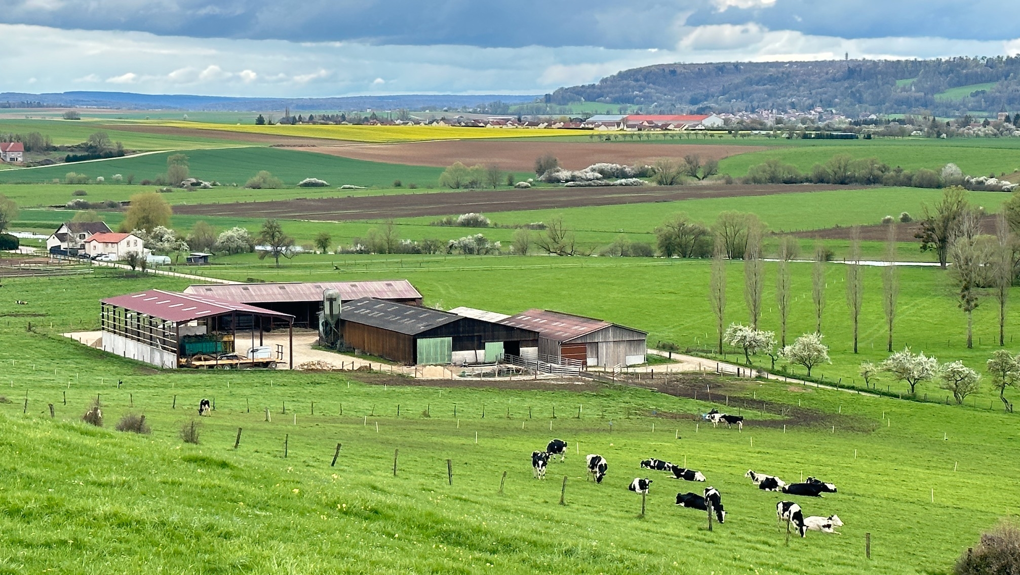 Le Projet de loi d’orientation agricole, (PLOA), dont l’examen à l’Assemblée nationale a débuté le 15 mai, ne constituera pas le grand soir du foncier agricole (Crédit photo : R. Lecocq)