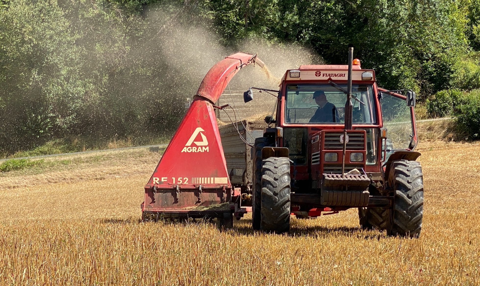 D’ordinaire, l’ensileuse tractée sert à affourager les vaches à l’automne avant leur retour en bâtiment