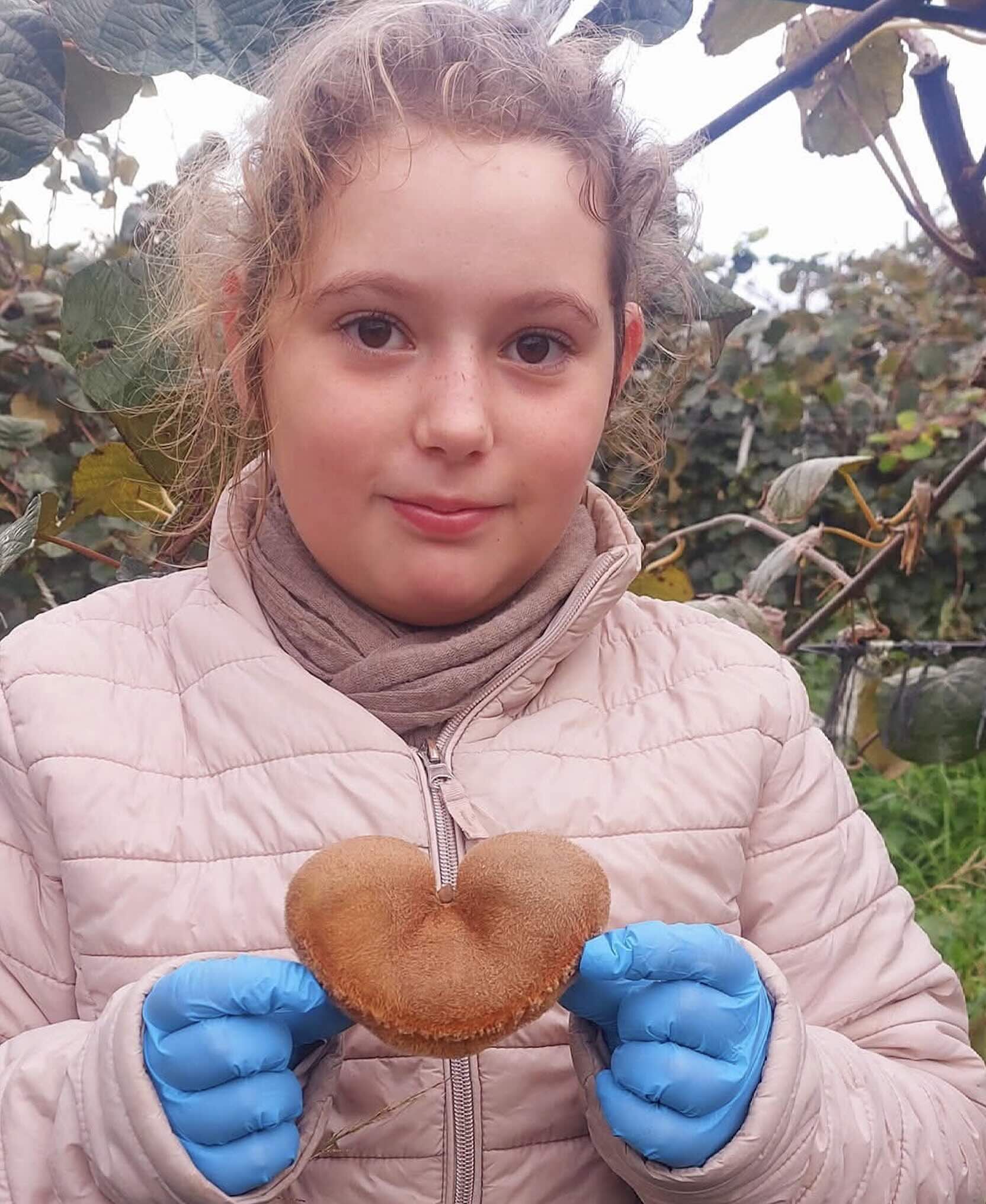 Le kiwi est certes un fruit exceptionnel à bien des égards, mais il n’est que rarement forme de cœur, comme celui-ci, présenté par Khloé, la fille de Coralie Dubéros (Crédit photo : Coralie Dubéros)