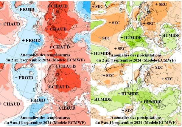 Anomalies des températures et des précipitations prévues par le modèle  européen (ECMWF) entre 2 et le 16 septembre 2024