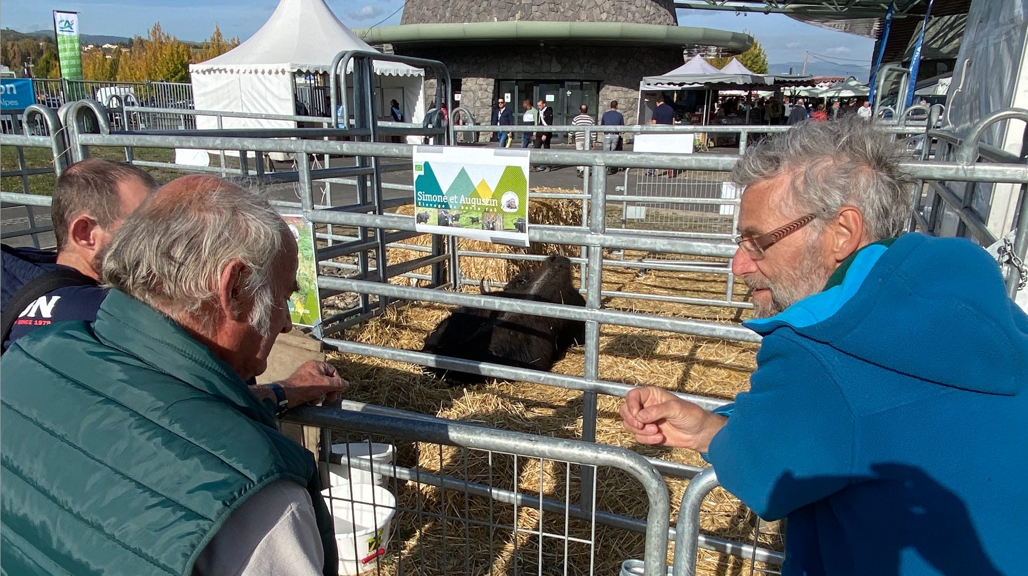 Au Sommet, les yaks ont suscité la curiosité de nombreux éleveurs