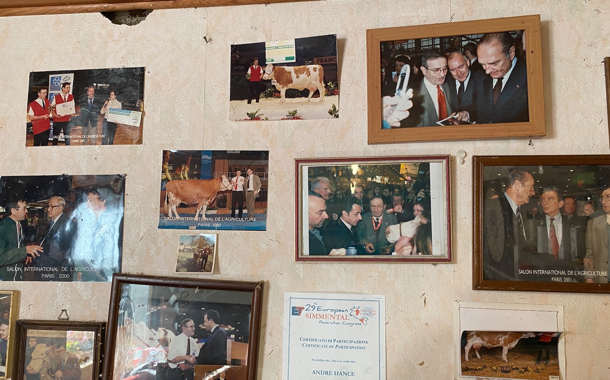 Engagé depuis des décennies dans la sélection de Simmental, le Gaec a remporté de nombreux prix, notamment à Paris, comme ce fut encore le cas en 2022 avec la vache Pomme