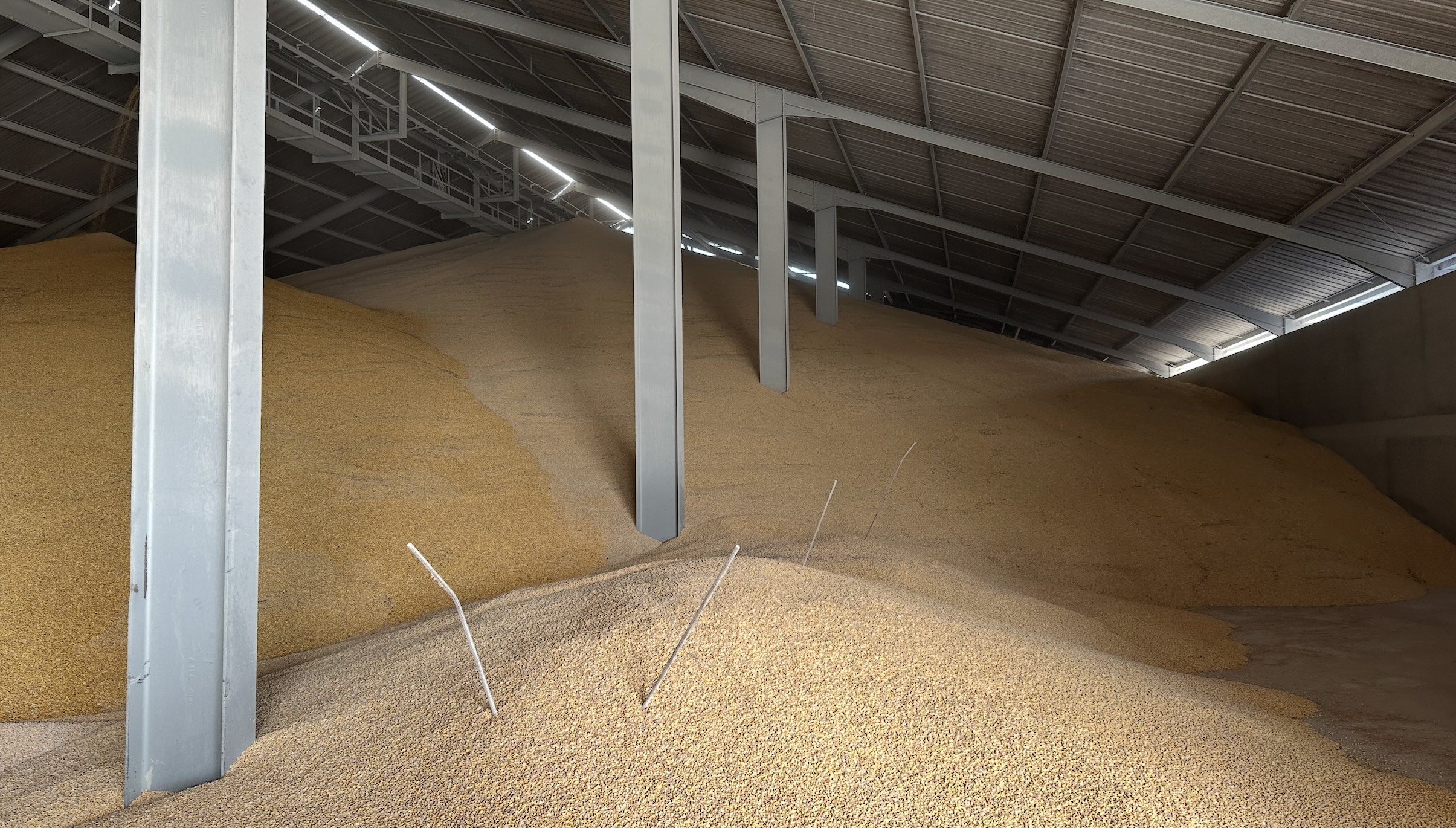 Selon l’AGPM, 77,5% des substances actives autorisées pour les producteurs du Mercosur qui exportent leur maïs vers l’UE sont interdites en France