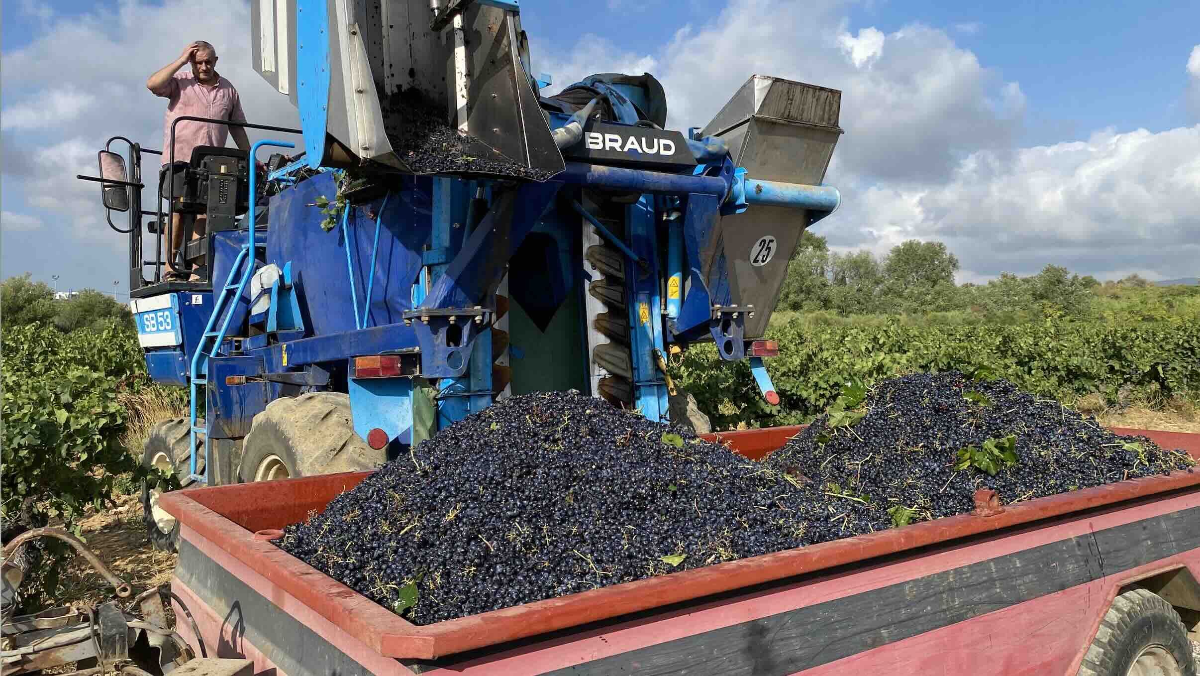 En vins et spiritueux, la France réalise aux Etats-Unis le quart de son chiffre d’affaires à l’export, loin devant le Royaume-Uni et la Chine (Crédit photo : R. Lecocq)