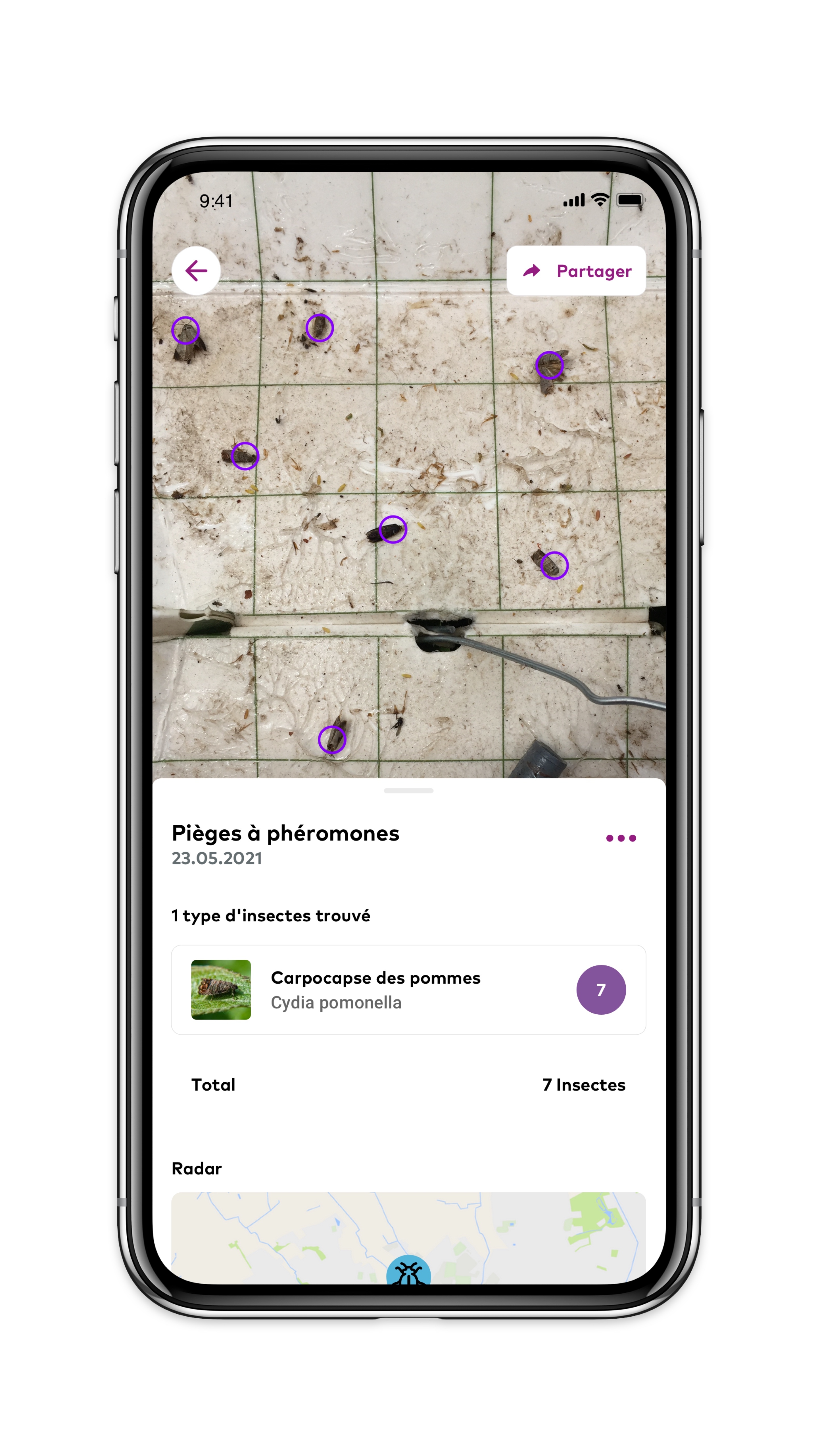 L’appli identifie et décompte les ravageurs piégés (Crédit photo : BASF)