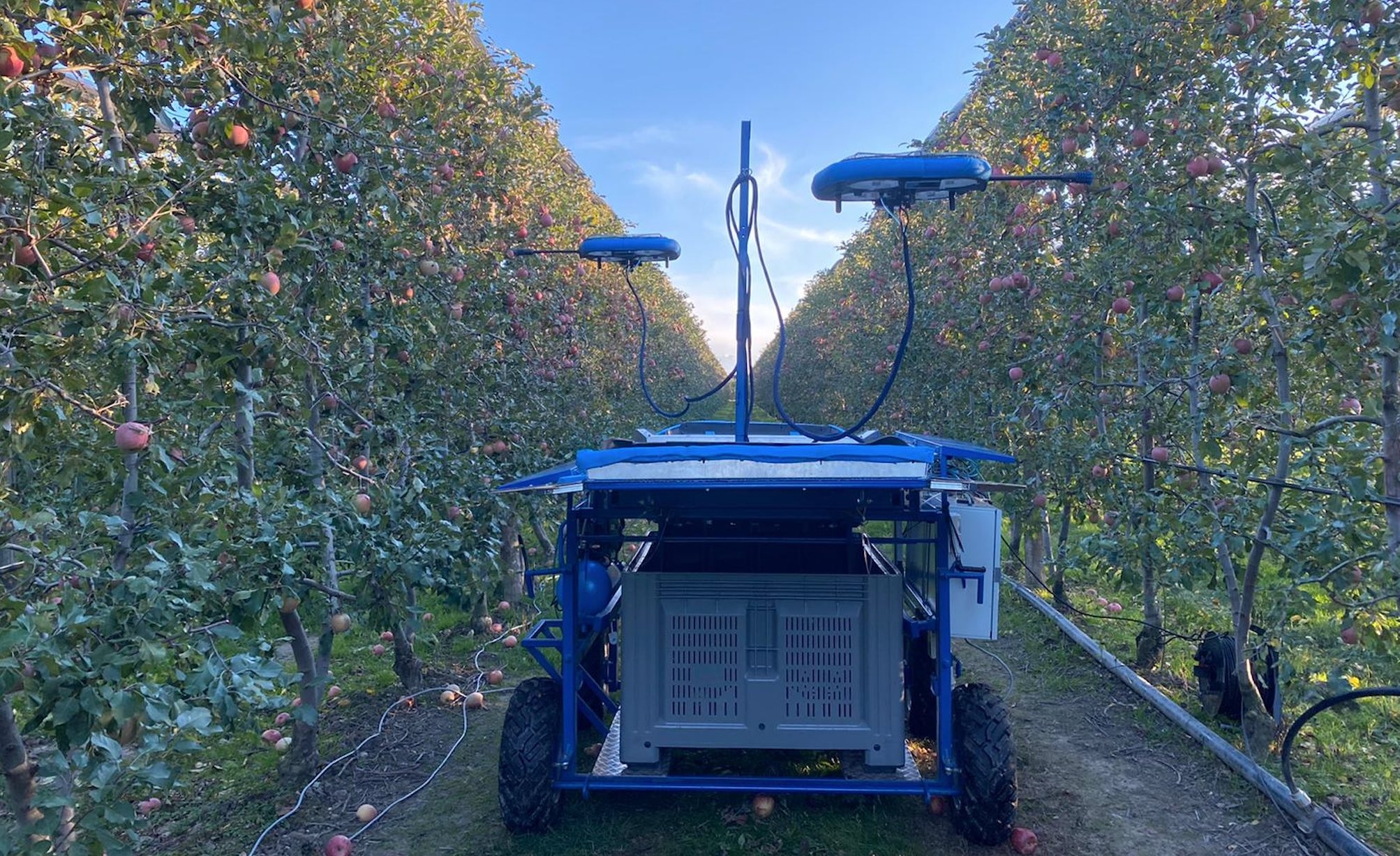 Tevel développe des robots volants autonomes équipés de l'IA et qui ont déjà fait leurs preuves dans le domaine de la cueillette des pommes, des pêches, des nectarines et des prunes, en attendant les agrumes et les avocats