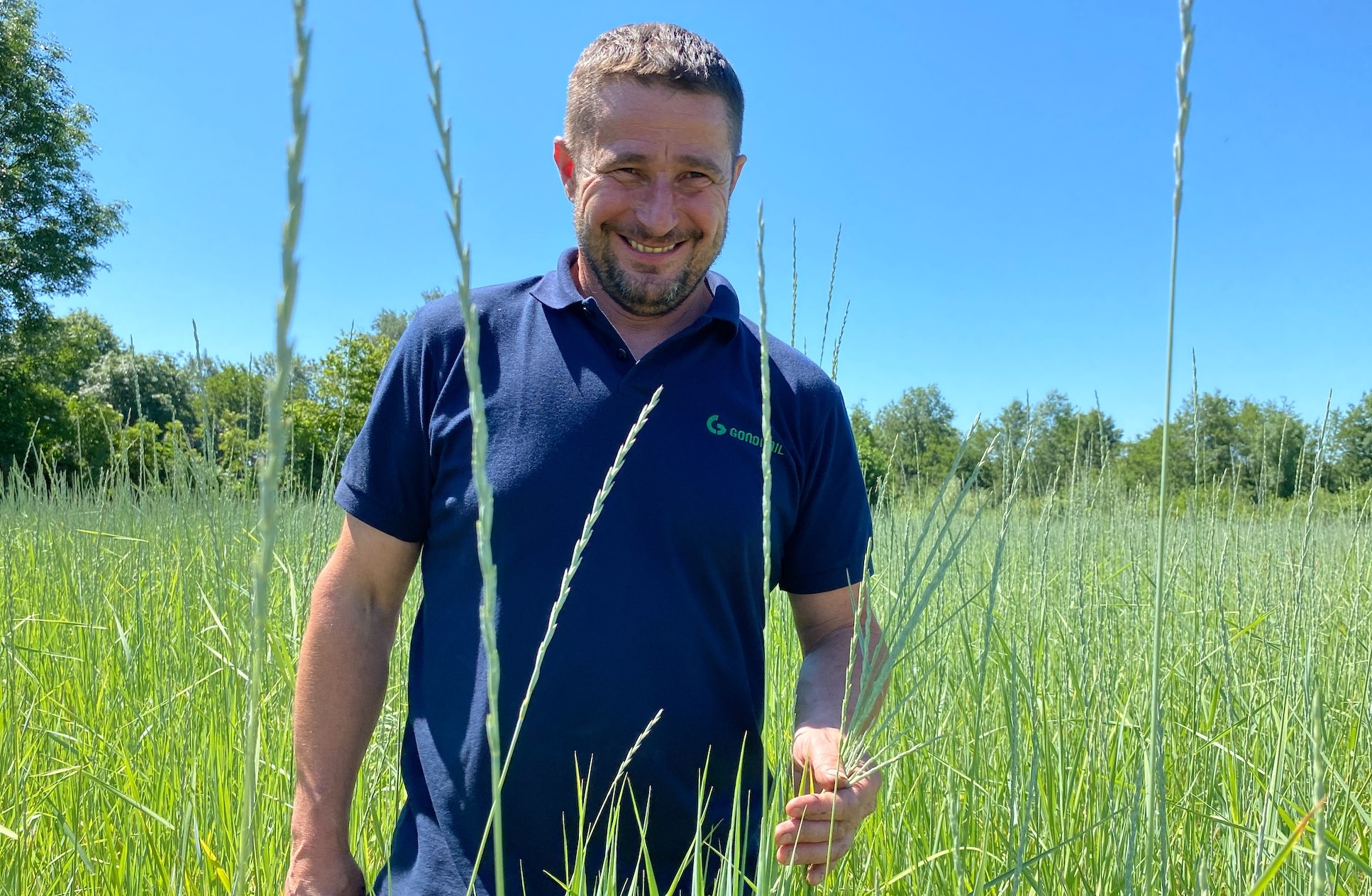 Deux ans après l’implantation, Patrice Barrey a récolté l’équivalent de 10 q/ha sur sa parcelle d’un peu moins d’un ha