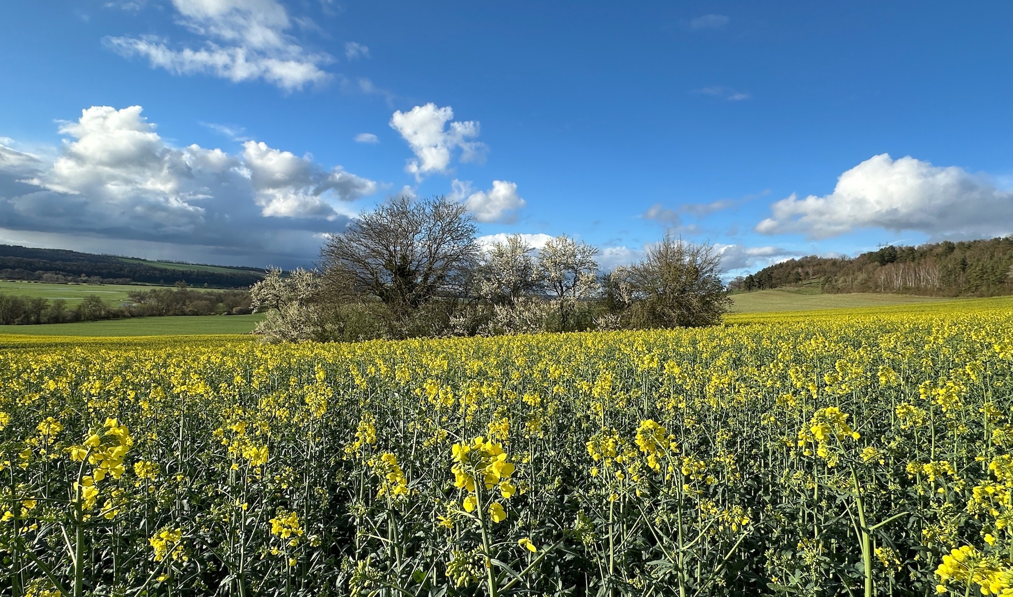 Le CGAAER pointe, dans l’état du statut du fermage, plusieurs sources d’insécurité préjudiciables tant aux propriétaires qu’aux fermiers (Crédit photo : R. Lecocq)