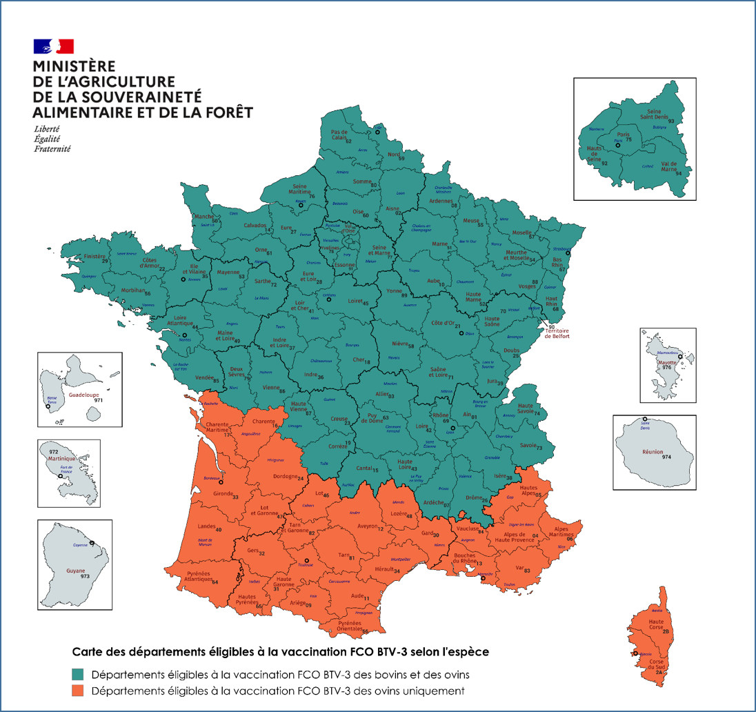 Carte des départements éligibles à la vaccination FCO BTV-3 selon l’espèce (Source : ministère de l’Agriculture)