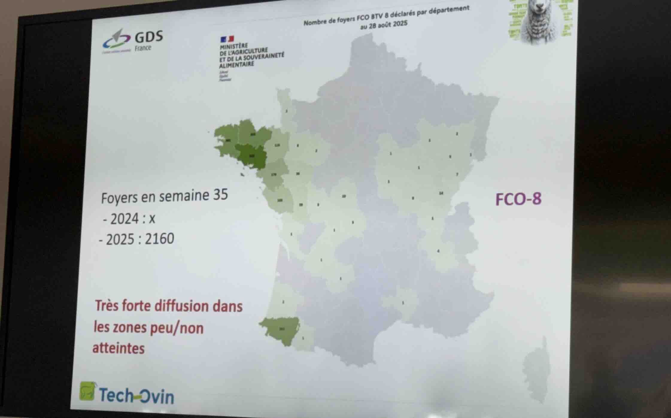 Situation de la FCO-8 en semaine 35 (25-31 août) (Source : DGAL – GDS France)