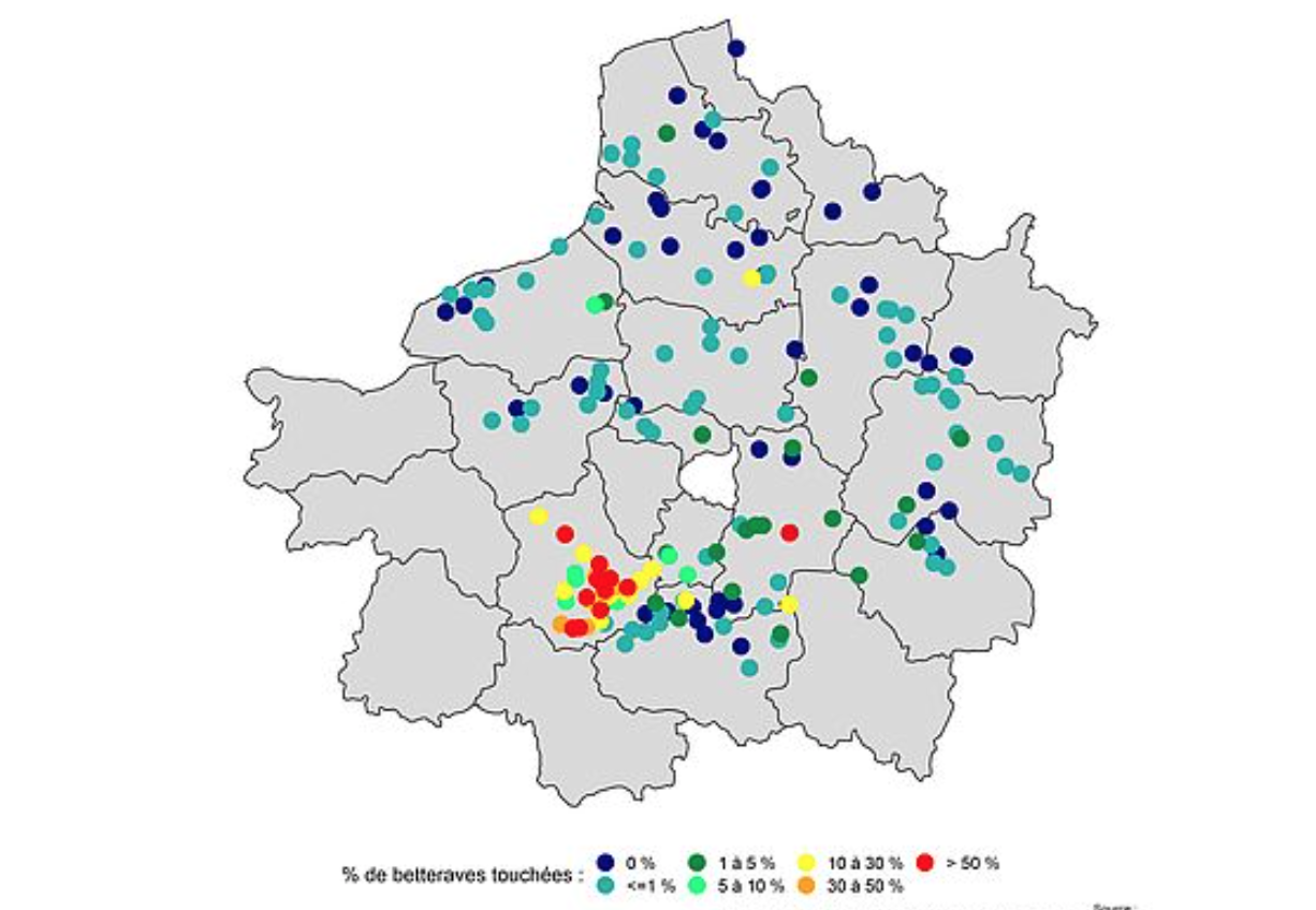 Pourcentage de betteraves touchées par la jaunisse en date du 9 août (Source : ITB)